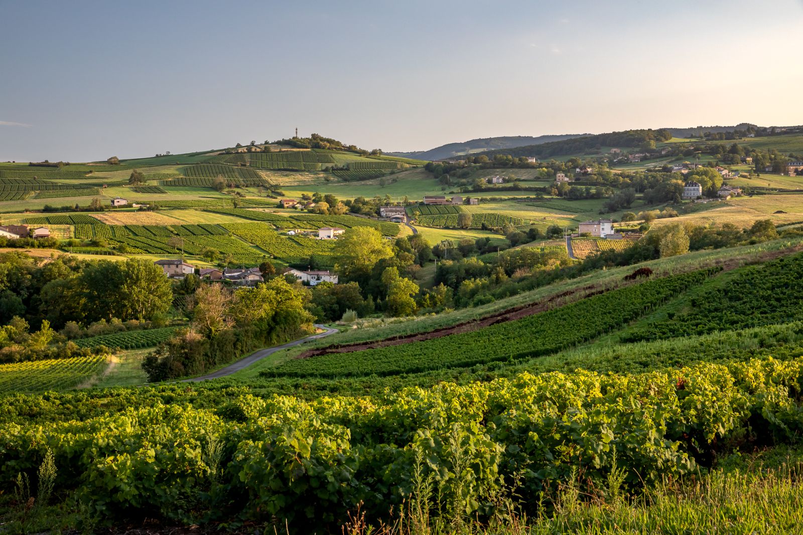 Sunlit patchwork of Beaujolais vineyard slopes and villages, showing rolling hills that define the crus’ granite-rich terroir