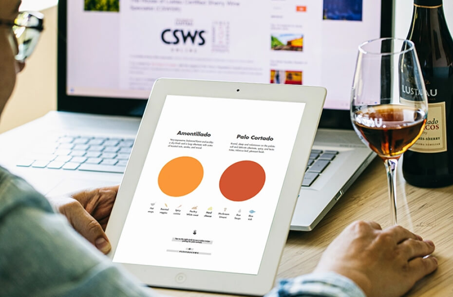 CSWS® Digital Study Guide