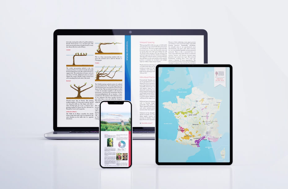 Online Study Modules