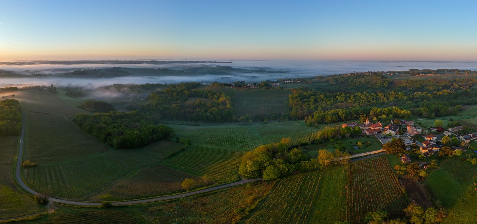 Classified Growth Chateau Haut Bailly 