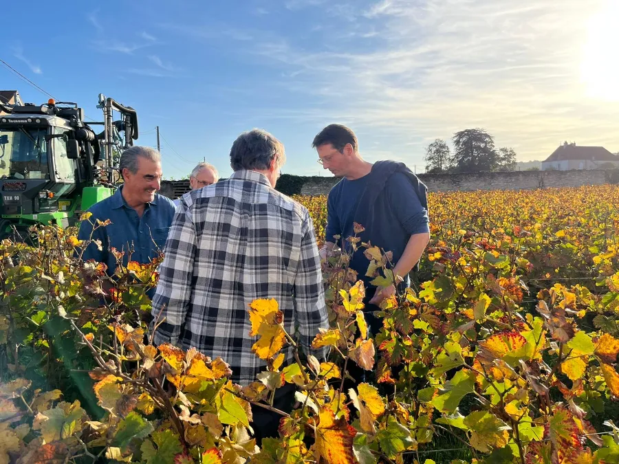 Students in a vineyard
