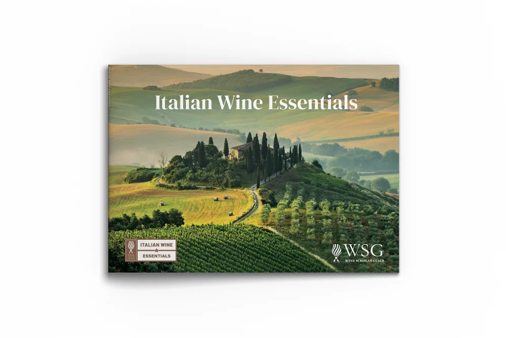 Italian Wine Essentials Study Guide