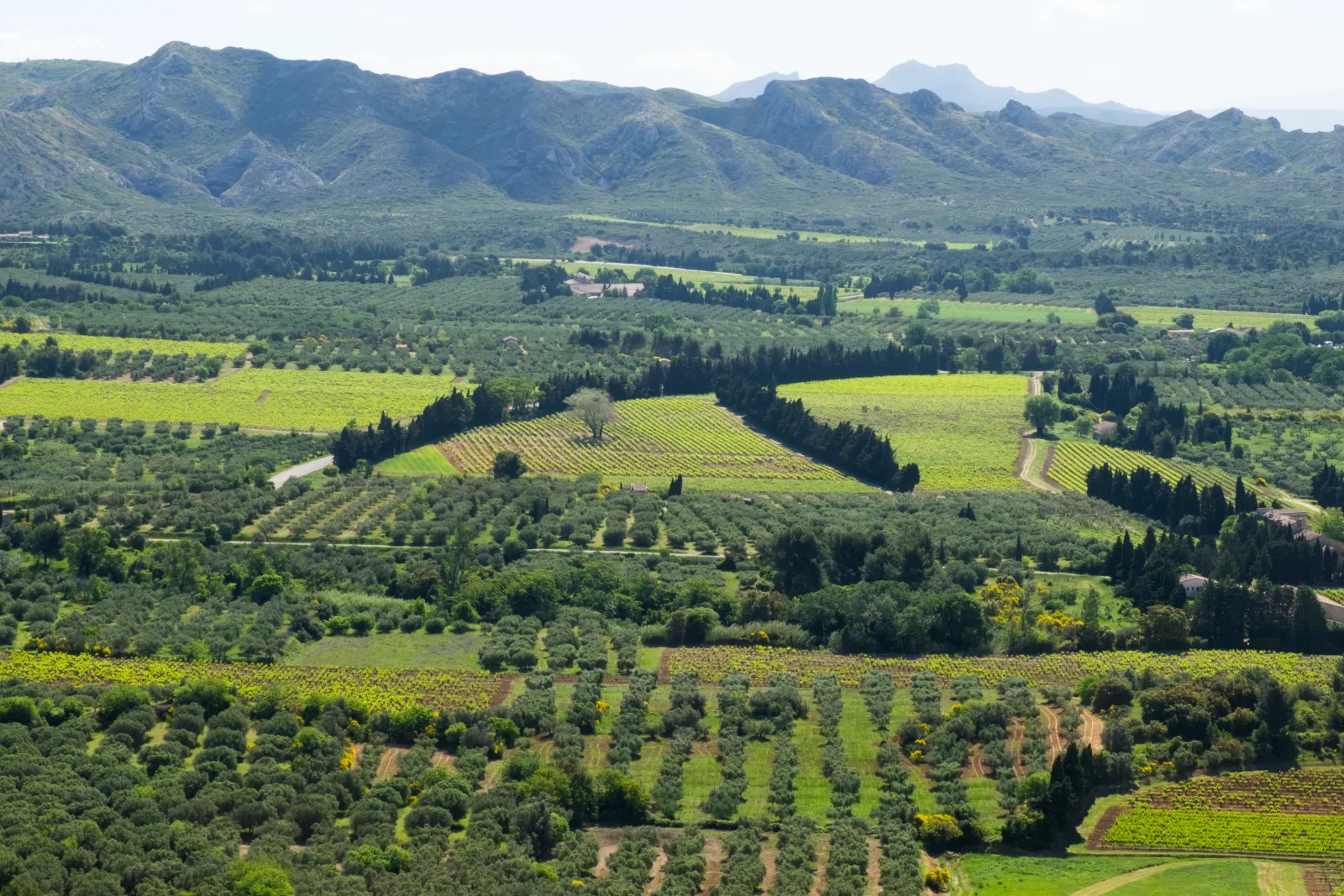 Château des Annibals 