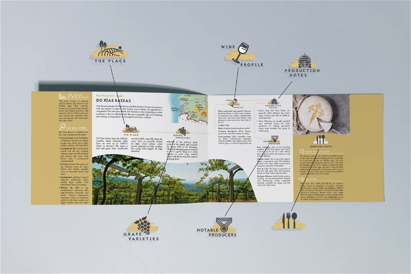 Spanish Wine Essentials Study Guide